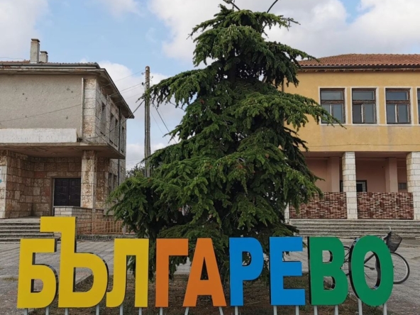 Ексклузивно! Парцел за продажба в с. Българево, област Добрич! - 0